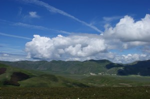 DSC00604