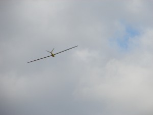 DSC02420