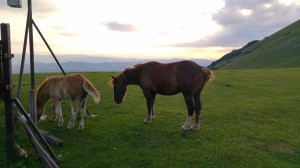 20160627_200205_HDR